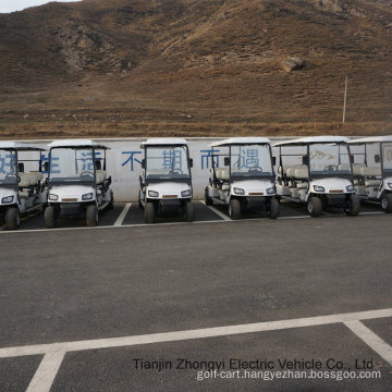 Electric Utility Golf Cart for Tourist 8 Seats